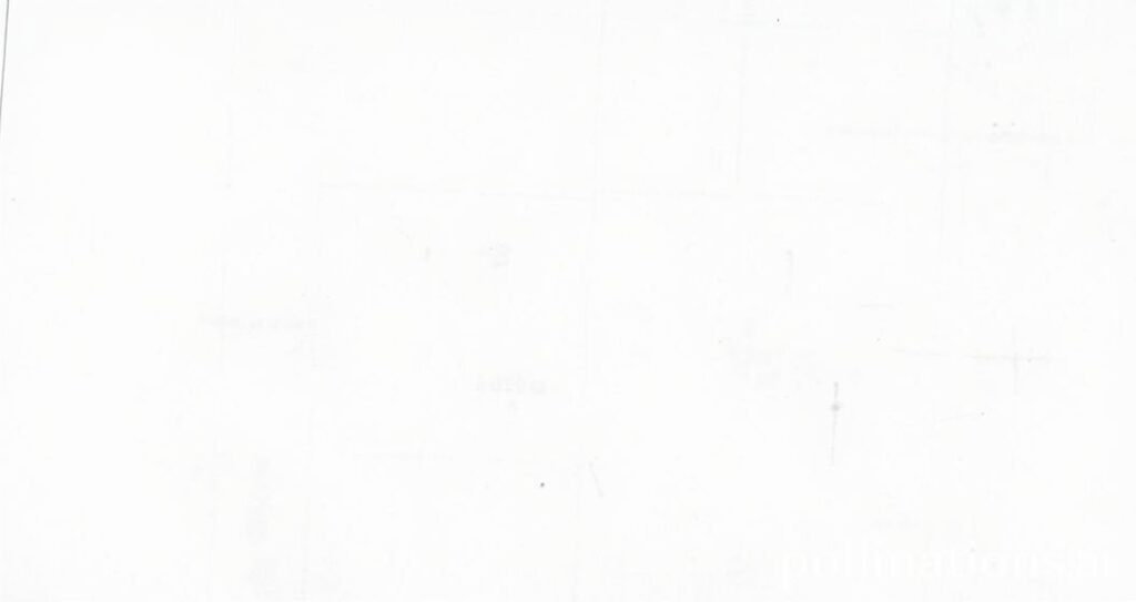 Harnessing the Power of Digital Artistry in Modern Business Excellence